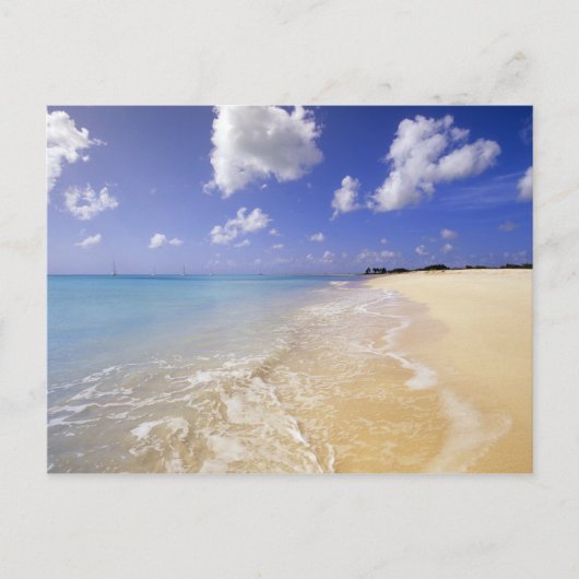 Low Bay Beach, Barbuda, Antigua Briefkaart (Voorkant)