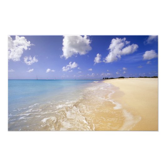 Low Bay Beach, Barbuda, Antigua Foto Afdruk (Voorkant)