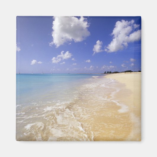 Low Bay Beach, Barbuda, Antigua Magneet (Voorkant)