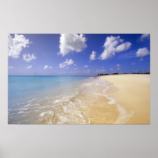 Low Bay Beach, Barbuda, Antigua Poster (Voorkant)