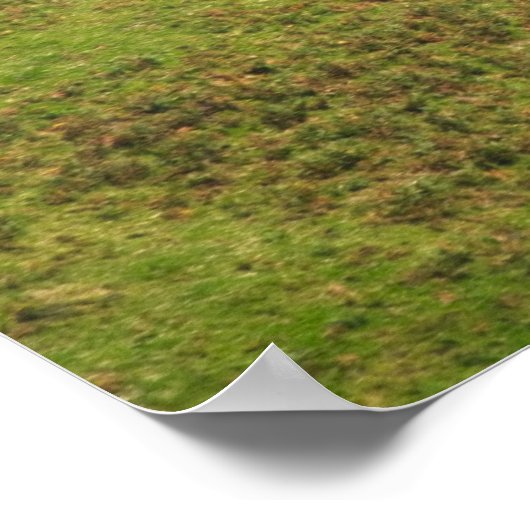 Low Flying Hercules Special RAF Centenary Tail Poster (Hoek)