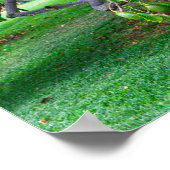 Low Hanging Avocado's op een Verre, eiland Hawaï Poster (Hoek)