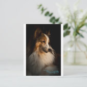 Low Key Shetland Sheepdog Briefkaart (Staand voorkant)
