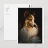 Low Key Shetland Sheepdog Briefkaart (Voorkant / Achterkant)