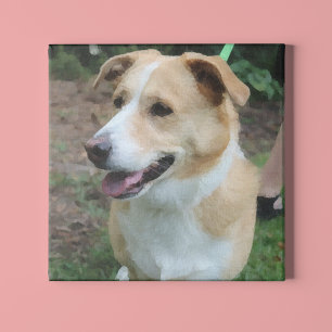 Low-Poly Shelter Hond aan de lijn Canvas Afdruk