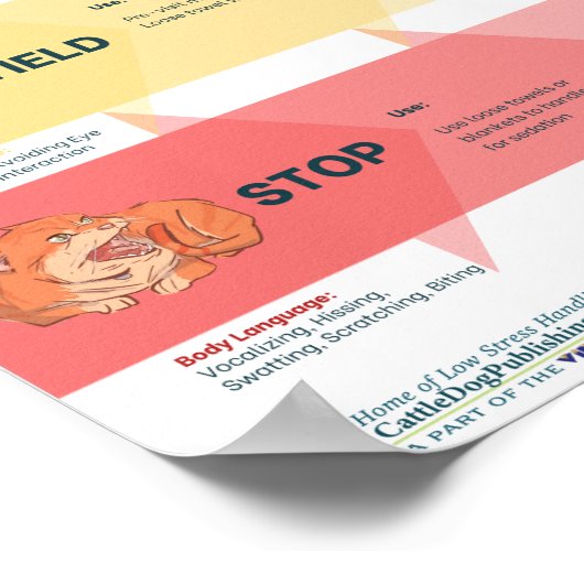 Low Stress Handling® algoritme voor katten Poster (Hoek)