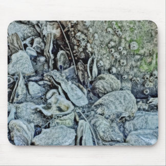 Low-Tide Beauty Oyster Bed Muismat