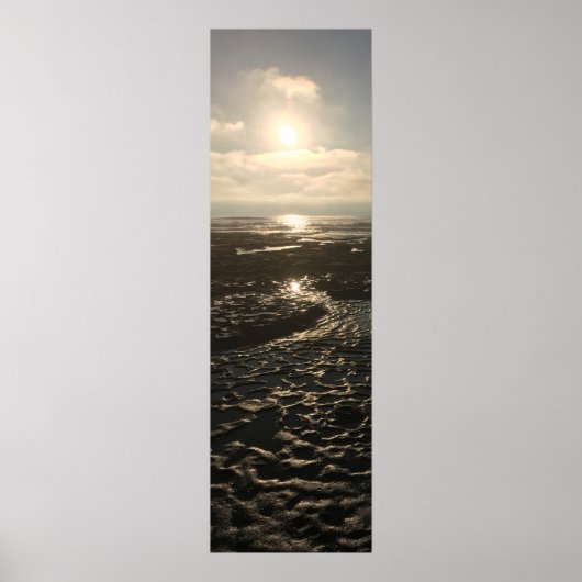 Low Tide bij La Jolla Poster (Voorkant)