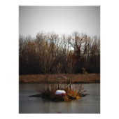 "Low Tide" Foto Afdruk (Voorkant)