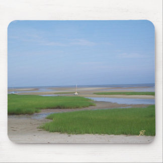 Low Tide Muismat