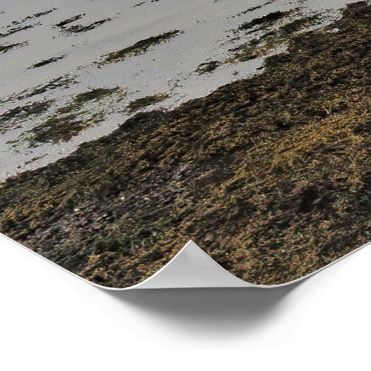 Low Tide Poster (Hoek)