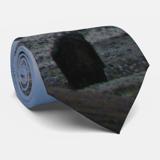 Low Tide Stropdas (Opgerold)