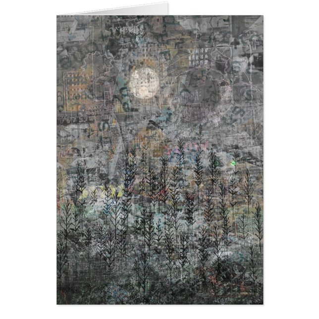 Low Winter Sun (Voorkant)