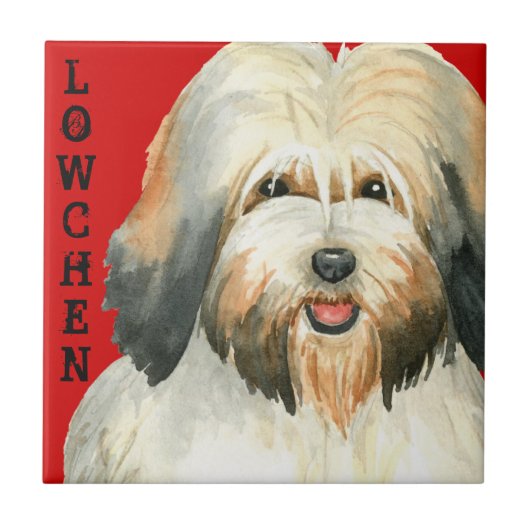 Lowchen Color Block Tegeltje (Voorkant)