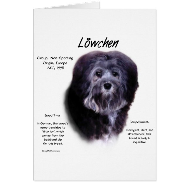 Löwchen Geschiedenisontwerp (Voorkant)