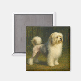 Lowchen Magneet