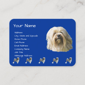 Lowchen op donkerblauw visitekaartje