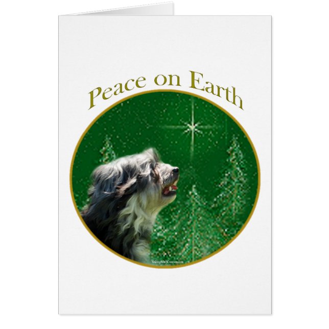 Lowchen Peace (Voorkant)