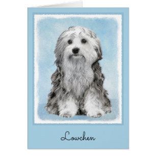 Lowchen schilderen - Kute Original Dog Art