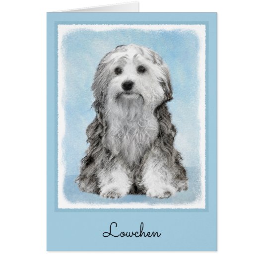 Lowchen schilderen - Kute Original Dog Art (Voorkant)