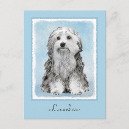 Lowchen schilderen - Kute Original Dog Art Briefkaart (Voorkant)