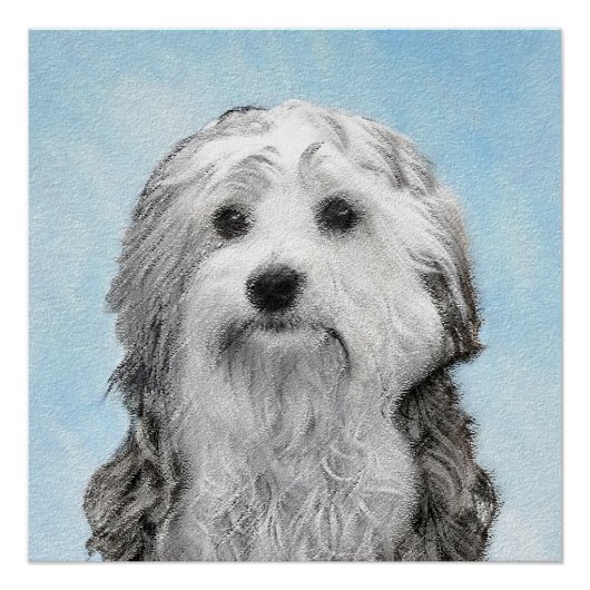 Lowchen schilderen - Kute Original Dog Art Perfect Poster (Voorkant)