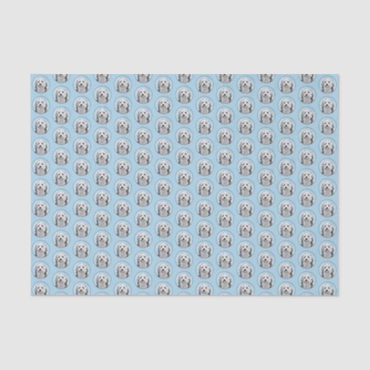 Lowchen schilderen - Kute Original Dog Art Tissuepapier (Voorkant)