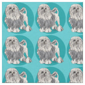 Lowchen Turquoise 2 Stof (Close Up)