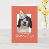 LowchenL Dog Funny Birthday Pet, Oranje achtergron Kaart (Gele Bloem)