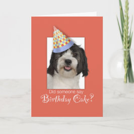 LowchenL Dog Funny Birthday Pet, Oranje achtergron Kaart