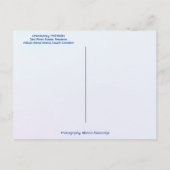 Lowcountry Horse Trail Rides Hilton Head Island SC Briefkaart (Achterkant)