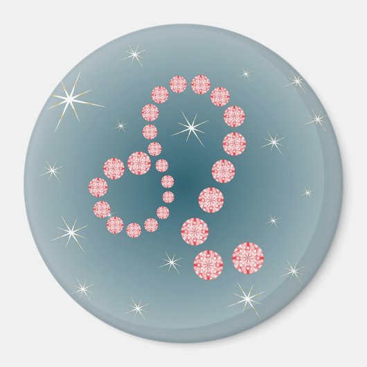 Löwe 23. Juli bis 22. August Magnet (Voorkant)