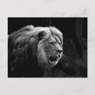 löwe briefkaart
