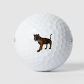 Löwe Golfballen (Voorkant)