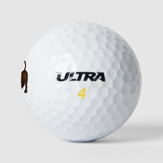 Löwe Golfballen (Logo)