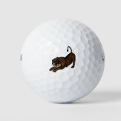 Löwe Golfballen (Voorkant)