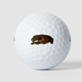 Löwe Golfballen (Voorkant)