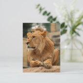 Löwe mit Punkerfrisur Briefkaart (Staand voorkant)