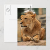 Löwe mit Punkerfrisur Briefkaart (Voorkant / Achterkant)