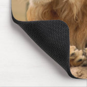 Löwe mit Punkerfrisur Muismat (Hoek)