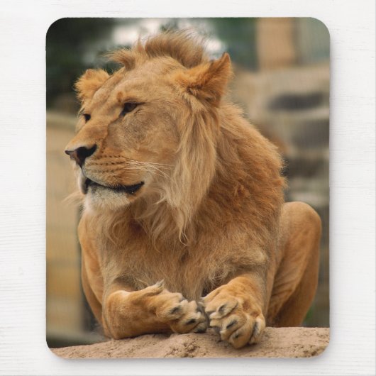 Löwe mit Punkerfrisur Muismat (Voorkant)