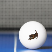 Löwe Pingpongbal (Net)