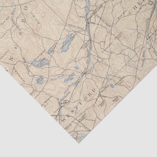 Lowell, Massachusetts Tissuepapier (Detail)