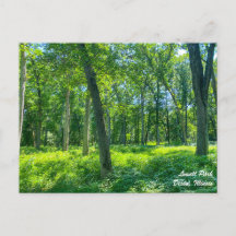 Lowell Park Dixon Illinois Briefkaart