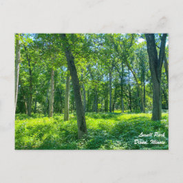 Lowell Park Dixon Illinois Briefkaart