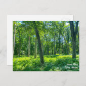 Lowell Park Dixon Illinois Briefkaart (Voorkant / Achterkant)