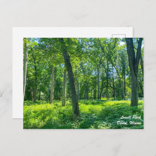 Lowell Park Dixon Illinois Briefkaart (Voorkant / Achterkant)