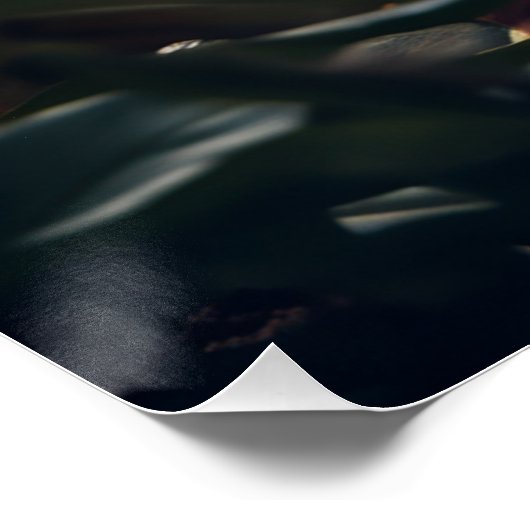 Löwenjunges Perfect Poster (Hoek)