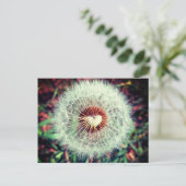 Löwenzahn Briefkaart (Staand voorkant)