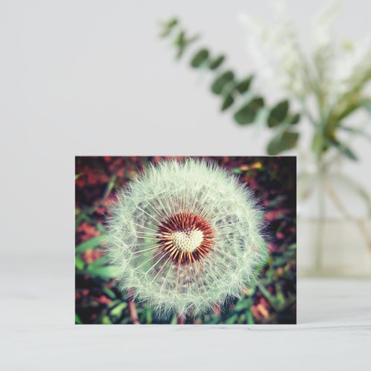 Löwenzahn Briefkaart (Staand voorkant)
